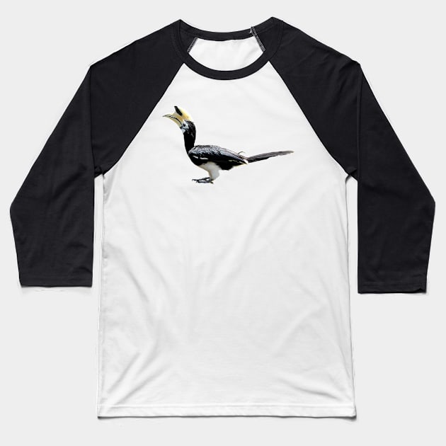 African Pied Hornbill Present Bird Lovers T-Shirt Nature Tropical Baseball T-Shirt by gdimido